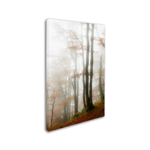 Philippe Sainte-Laudy 'Magic Hour In The Forest' Canvas Art,22x32